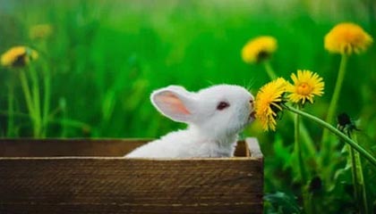 温州最新怎么提现公积金卡里的钱方法分析(最方便真实的温州怎么将公积金提现方法)